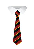 Emmanuel Sixth Form Tie