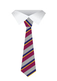 Emmanuel Year 10-11 Tie